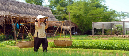 TRA QUE VEGETABLE VILLAGE